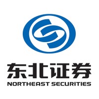Northeast Securities Co., Ltd. logo - Similar company to Cuhk Financial Technology Society