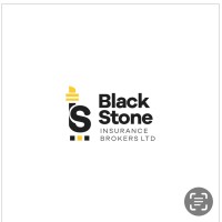 BLACKSTONE INSURANCE BROKERS logo - Similar company to Fletcher Bond Property Consulting