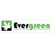 Evergreen Solar logo - Similar company to Standard Energy Solutions