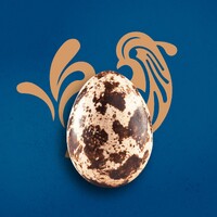 Złoty Ptak logo - Similar company to Fsd For Sustainable Development