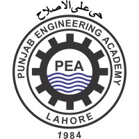 Punjab Engineering Academy logo - Similar company to Duncan Stratton & Co (Pvt) Ltd
