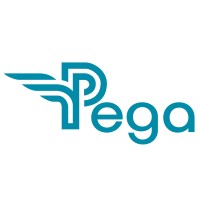 Pega Teknoloji logo - Similar company to Dmesg It Solutions