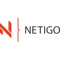 Netigo AB logo - Similar company to Prinode Ab