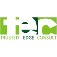Trusted Edge Consult logo - Similar company to Dataset Engineering Ltd.
