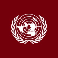 University of South Carolina Model UN logo - Similar company to Physilink