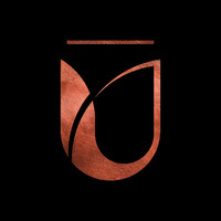 Shunya Wellness logo - Similar company to Collab Therapy