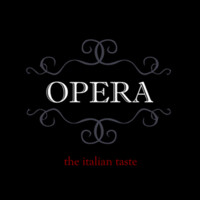 Opera srls logo - Similar company to Opera - Locks