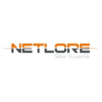 Netlore Security logo - Similar company to Securkey