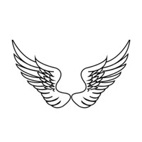 Angel Investor