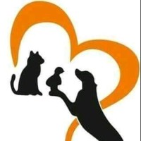 Animalia logo - Similar company to Pet Cure Veterinary Center