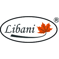 Libani Control Sytem logo - Similar company to The Funnel Fox