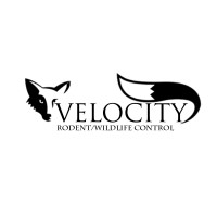 Velocity Enterprises Corp. logo - Similar company to Hemphill Wright And Associates, Inc.
