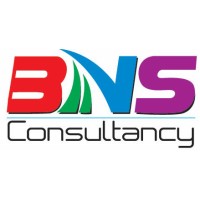 BNS Consultancy logo - Similar company to Bns Consulting