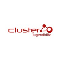 Cluster Jugendhilfe logo - Similar company to Jugendhilfe -