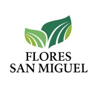 FLORES SAN MIGUEL LLC logo - Similar company to Quantika