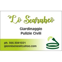 Lo Scarabeo logo - Similar company to Currency Press Pty Ltd