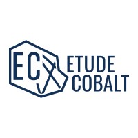 ETUDE COBALT logo - Similar company to Sogelec