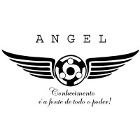 Angel logo - Similar company to Anect