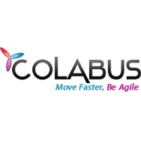 Colabus logo - Similar company to Practical Sqa