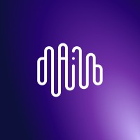 Ai Experience logo - Similar company to Neoswift Technology & Consulting