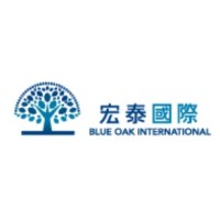 Blue Oak International (HK) Insurance Consultant Limited logo - Similar company to Fidelidade 忠誠保險