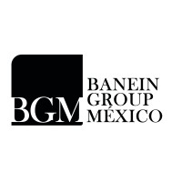 Banein Group México logo - Similar company to Chiroedge
