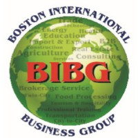 Boston International Business Group - BIBG logo - Similar company to It Proskill