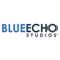 BLUE ECHO STUDIOS, LLC logo - Similar company to Maverick Consulting Llc