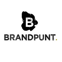 BRANDPUNT. logo - Similar company to Www.Kghn.Nl