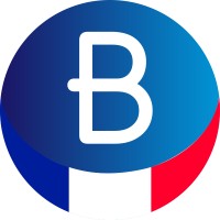 BlancOne France logo - Similar company to Chrysval