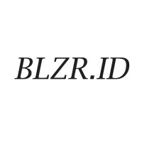 BLZR.ID logo - Similar company to Pandora Visions