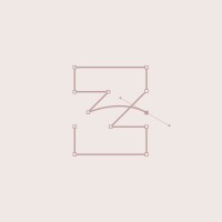 Z Schwartz Design