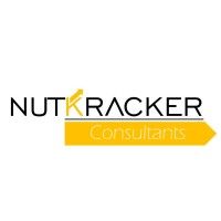 NutKracker Consultants logo - Similar company to Control2 Sistemas