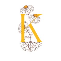 Khamai Strategies logo - Similar company to Blended