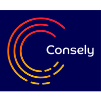CONSELY logo - Similar company to Alpes Private Equity (Une Marque Consely)