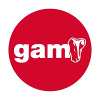 GAM - Solutions logo - Similar company to Malcop S.L.