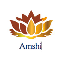 Fondation AMSHI - Alliance Maroc Suisse handicap intégration logo - Similar company to Phytesia