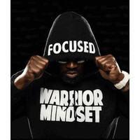Warrior Mindset LLC logo - Similar company to The Program, Llc