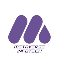 Metaverse InfoTech logo - Similar company to Metaverse Infotech