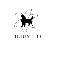 Lilium LLC logo - Similar company to Concentric Global