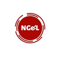 NAZ GLOBAL&LOGISTICS logo - Similar company to Naz Logistics