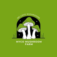 Myco Mushroom logo - Similar company to Hubhub Creative
