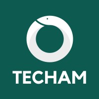 Techam logo - Similar company to Tecno System Group