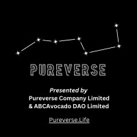 Pureverse logo - Similar company to Hiroshima Limited