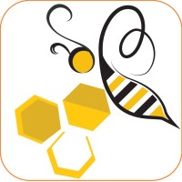Strategenius Business Valiants logo - Similar company to Raffowtech