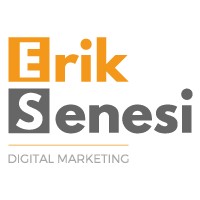 Erik Senesi - Digital Marketing Consulting logo - Similar company to Flip Up - Digital Marketing Agency