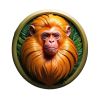 SULAMERICANO.PT logo - Similar company to Biond Films