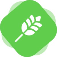 Hammer Ernte GmbH logo - Similar company to Cannabis Social Club Duesselhanf E.V.