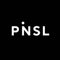 PINSL logo - Similar company to Co-Intelligence.Ai