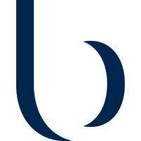Bodenschatz AG logo - Similar company to Safecontech Ag
